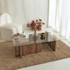 Kohvilaud, Asir, 105 x 30 x 65 cm, pruun price and information | Coffee tables | hansapost.ee