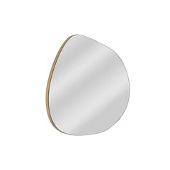 Peegel Asir, 75x55x0,18cm, hõbe price and information | Bathroom mirrors | hansapost.ee