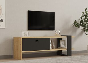 TV alus Asir, 120x36,8x25 cm, hall/beež hind ja info | Televiisori alused | hansapost.ee
