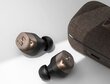 Sennheiser Momentum TW4 Black Copper (700367) цена и информация | Kõrvaklapid | hansapost.ee