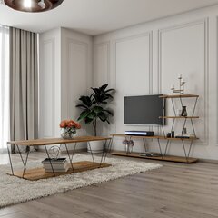 Комплект мебели для гостиной Asir, 150x93x30см, 120x30x50см, коричневый цена и информация |  Тумбы под телевизор | hansapost.ee