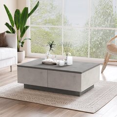 Диванный стол, Asir, 90x32x60 см, серый цена и информация | Журнальные столики | hansapost.ee