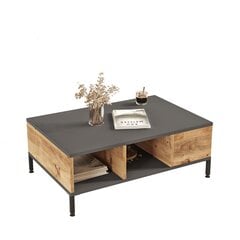 Кофейный столик Asir, 90x33,1x60см, черный и бежевый цена и информация | Журнальные столики | hansapost.ee
