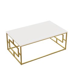 Кофейный столик Asir, 100x40x60см, белый и золотой цена и информация | Журнальные столики | hansapost.ee