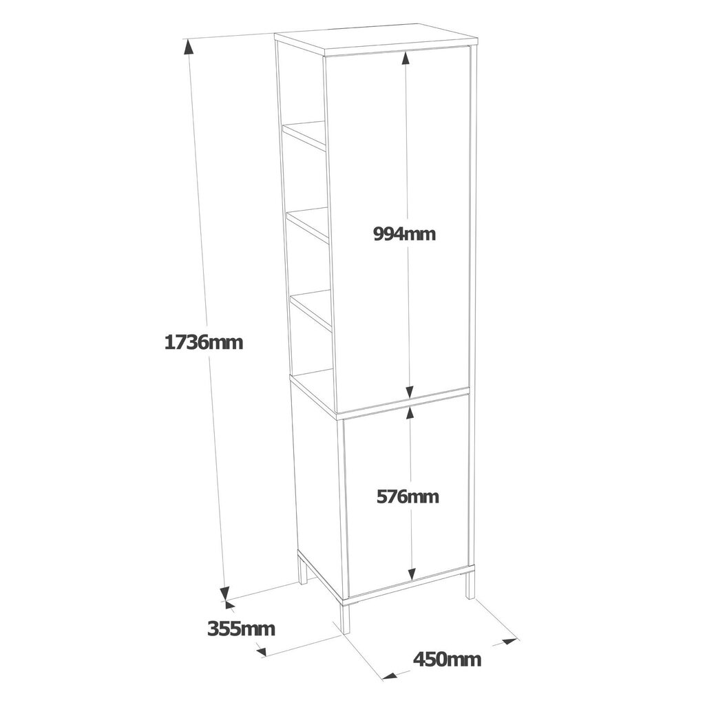 Kapp Asir, 45x173,6x35,5cm, valge hind ja info | Vannitoakapid | hansapost.ee