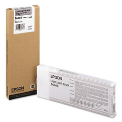 Epson T606900 Light Light Black (EPST606900) hind ja info | Tindiprinteri kassetid | hansapost.ee