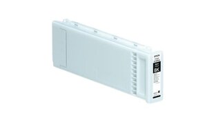 Epson UltraChrome DG T72510N Cyan hind ja info | Tindiprinteri kassetid | hansapost.ee