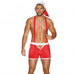 Mr Claus Sexy Christmas Costume For Men L/XL hind ja info | Seksikas pesu meestele | hansapost.ee