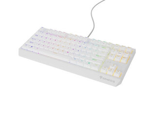 Natec Thor 230 TKL RGB Outemu Brown (NKG-2080) hind ja info | Klaviatuurid | hansapost.ee