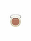Lauvärv Clarins Ombre Mono Eyeshadows 01 Matte Ivory, 1,5 g цена и информация | Lauvärvid, ripsmetušid ja silmapliiatsid | hansapost.ee
