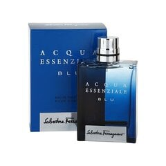 Tualettvesi Salvatore ferragamo blue essential EDT meestele, 100 ml hind ja info | Parfüümid meestele | hansapost.ee