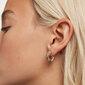 PDPAOLA Luksuslikud kullatud kõrvarõngad tsirkoonidega TIGER AR01-291-U hind ja info | Kõrvarõngad | hansapost.ee