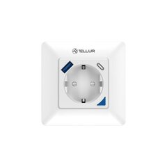 Tellur Smart WiFi Wall Plug 3600W 16A, PD20W, USB 18W, energy reading, white цена и информация | Tellur Сантехника, ремонт, вентиляция | hansapost.ee