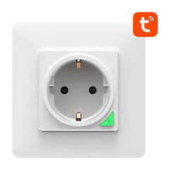 Smart WiFi Wall Socket Avatto N-WOT10-EU-W TUYA (white) цена и информация | Выключатели, розетки | hansapost.ee