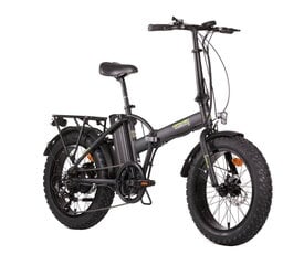 Электрический велосипед Denver Orus E 2500 20", черный цена и информация | Электровелосипеды | hansapost.ee