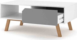 Кофейный столик Hakano, серый / белый цвет цена и информация | Журнальные столики | hansapost.ee