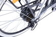 Elektriline jalgratas Denver E4300 26", hall hind ja info | Elektrijalgrattad | hansapost.ee