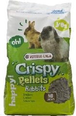 Toit küülikutele Versele Laga Crispy Pellets, 2 kg hind ja info | Toit väikeloomadele | hansapost.ee