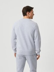 Björn Borg meeste dressipluus, hall price and information | Hoodies for men | hansapost.ee