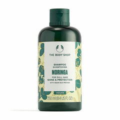 Šampoon The Body Shop Moringa, 250 ml hind ja info | Šampoonid | hansapost.ee