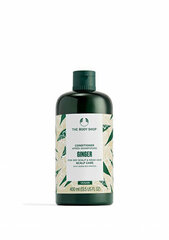 Kõõmavastane palsam The Body Shop Ginger, 400 ml цена и информация | Бальзамы, кондиционеры | hansapost.ee