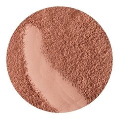 Mineraalne põsepuna Pixie Cosmetics My Secret Mineral Rouge Misty Rust, 4.5g hind ja info | Päikesepuudrid ja põsepunad | hansapost.ee