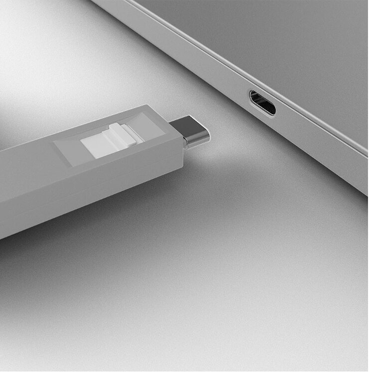 Lindy 4xUSB-C, 1 tk цена и информация | Juhtmed ja kaablid | hansapost.ee