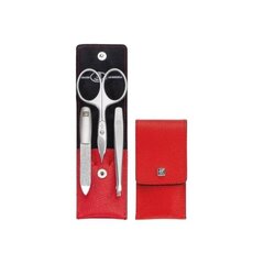 Manicure set ZWILLING 97091-002-0 цена и информация | Средства для маникюра и педикюра | hansapost.ee