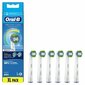 Oral-B EB20-6 hind ja info | Elektriliste hambaharjade otsikud | hansapost.ee