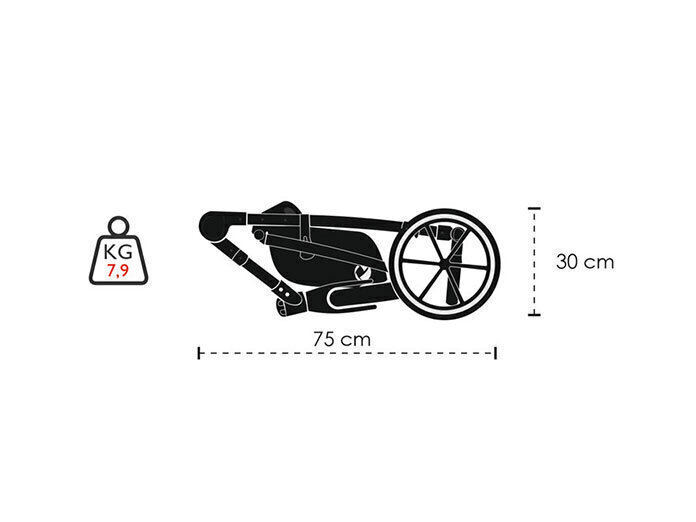 Universaalne jalutuskäru Lonex Comfort Special 2in1, S03 grey цена и информация | Vankrid, jalutuskärud | hansapost.ee