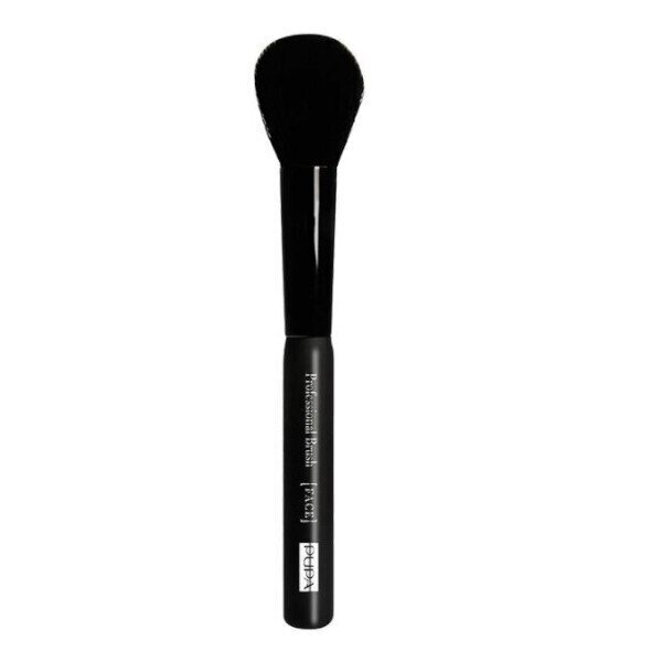 Meigipintsel Pupa Round Blusher Brush, 1 tk цена и информация | Meigipintslid ja meigikäsnad | hansapost.ee