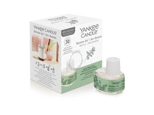 Õhuniisutaja lõhnatäidis Yankee Candle Serene Air Refil Restorative Hinoki and Juniper, 17 ml hind ja info | Lõhnapulgad ja kodulõhnastajad | hansapost.ee