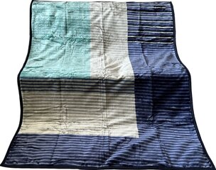 Одеяло, 160x210 см цена и информация | Одеяла | hansapost.ee