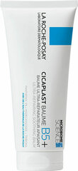 Успокаивающий универсальный крем для сухой и проблемной кожи La Roche-Posay Cicaplast Balm B5+, 15 мл цена и информация | Кремы для лица | hansapost.ee
