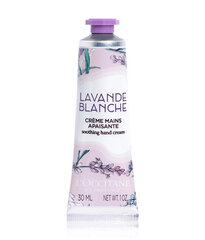 Kätekreem L'Occitane White Lavender, 30 ml цена и информация | Кремы, лосьоны для тела | hansapost.ee