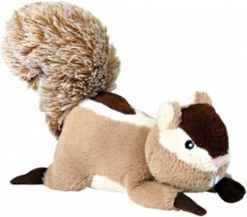 Plüüsist orav Trixie, 24 cm hind ja info | Koerte mänguasjad | hansapost.ee