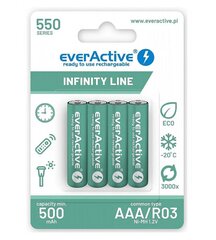 everActive EVHRL03-550 hind ja info | Fotoaparaatide akud ja patareid | hansapost.ee