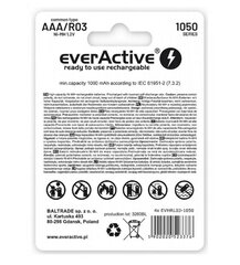 everActive EVHRL03-550 цена и информация | Аккумуляторы для фотоаппаратов | hansapost.ee