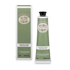 Kätekreem L'Occitane Almond Delicious, 75 ml hind ja info | Kehakreemid, kehaõlid ja losjoonid | hansapost.ee