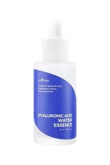 Niisutav näoseerum Isntree Hyaluronic Acid Water Essence, 50ml hind ja info | Isntree Parfüümid, lõhnad ja kosmeetika | hansapost.ee