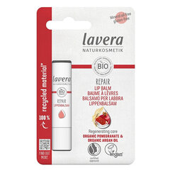 Huulepalsam Lavera Protect &amp; Repair Pomegranate &amp; Argan, 4,5 g цена и информация | Помады, бальзамы, блеск для губ | hansapost.ee
