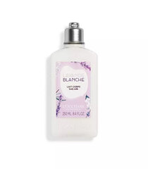 Молочко для тела L'Occitane En Provence Lavender Blanche, 250 мл цена и информация | Кремы, лосьоны для тела | hansapost.ee