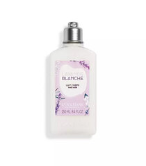 Ihupiim L'Occitane En Provence Lavender Blanche, 250 ml price and information | Kehakreemid, kehaõlid ja losjoonid | hansapost.ee