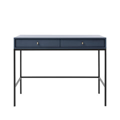Tualettlaud Akl Furniture Mono MT104, sinine hind ja info | AKL Furniture Magamistoamööbel | hansapost.ee