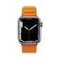 Alpine Apple Watch 38|40|41 mm orange цена и информация | Nutikellade aksessuaarid ja tarvikud | hansapost.ee