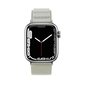 Alpine Apple Watch 38|40|41 mm silver hind ja info | Nutikellade aksessuaarid ja tarvikud | hansapost.ee