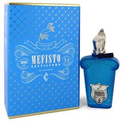 XerJoff Casamorati Mefisto Gentiluomo EDP, 100ml цена и информация | Духи для Него | hansapost.ee