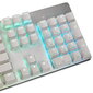 Glorious PC GMMK Full Size White Ice Edition (GLO-GMMK-FS-BRN-W) цена и информация | Klaviatuurid | hansapost.ee