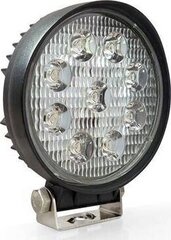 Led töölamp Amio price and information | Torches, headlamps and spotlights | hansapost.ee