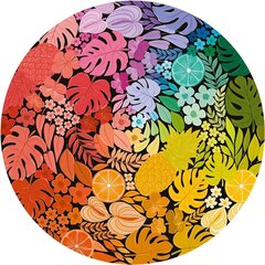 Ravensburger пазл на 500 элементов Circle of Colours - Mushrooms цена и информация | Пазлы | hansapost.ee